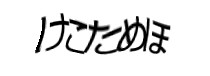 Authentication image